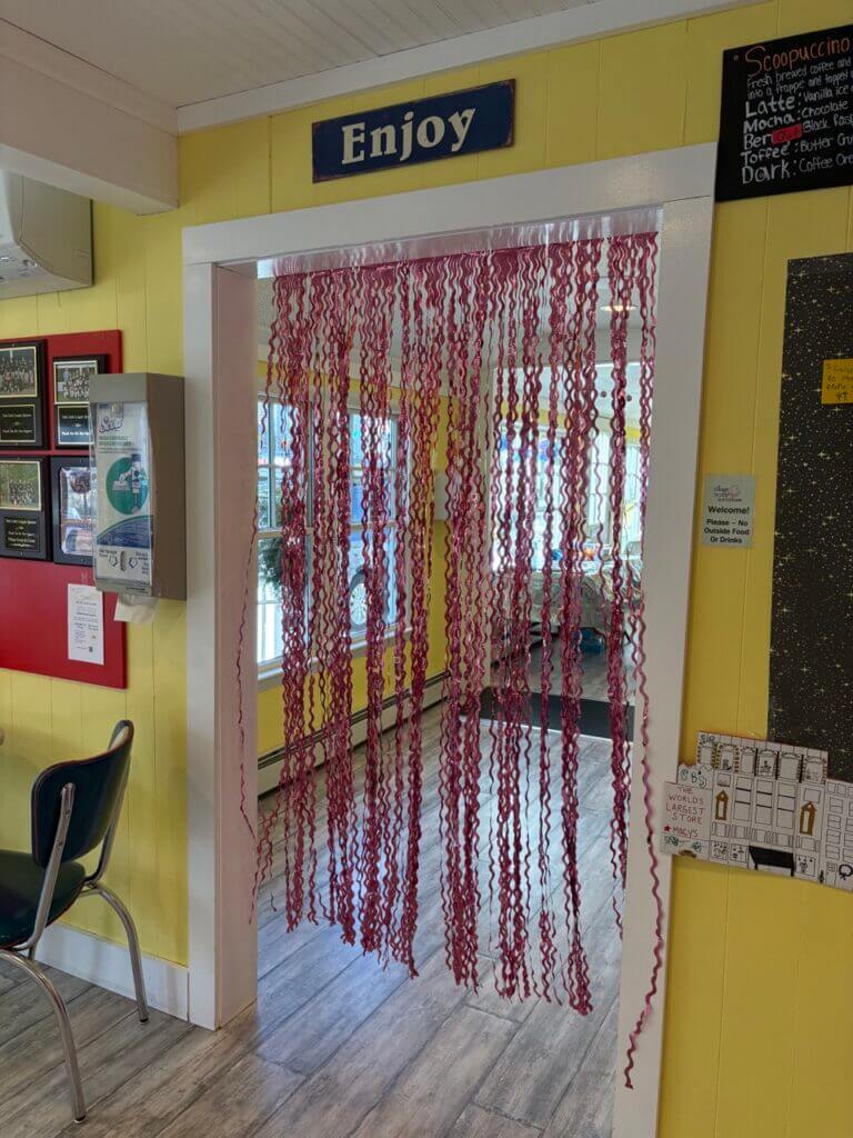Host a Birthday Party at Village Scoop!