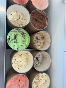 Richardson's Ice Cream in the case at Village Scoop