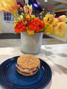 Homemade Ice Cream Sandwich, Celebrate Spring with one from Village Scoop